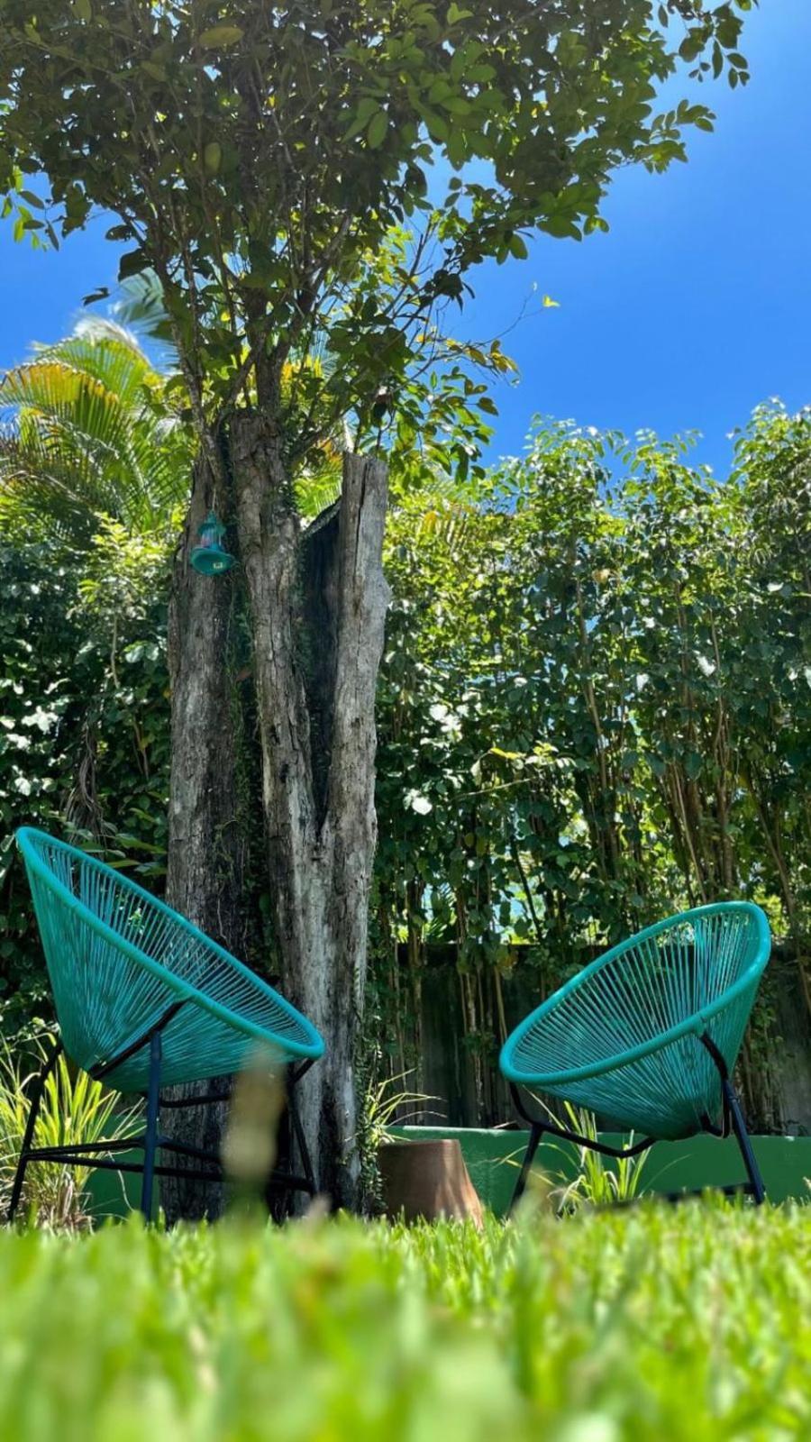 Pangea Tropical Casa de hóspedes 2*